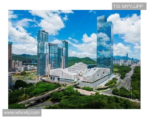 2015年上海与深圳对比视频回顾城市发展与文化差异